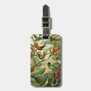 Ernst Haeckel TrochilidaeHummingbird Bagagebricka