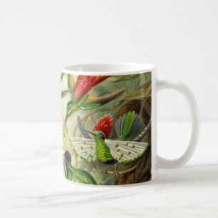 Ernst Haeckel TrochilidaeHummingbird Kaffemugg