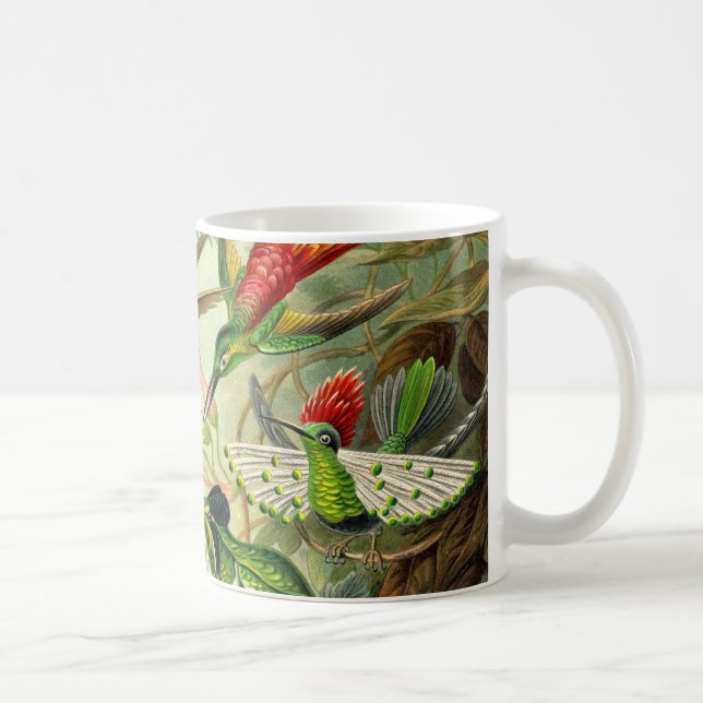 Ernst Haeckel TrochilidaeHummingbird Kaffemugg (Höger)