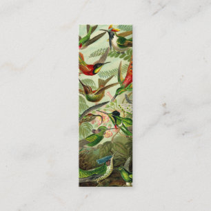 Ernst Haeckel TrochilidaeHummingbird Mini Visitkort