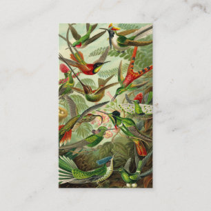 Ernst Haeckel TrochilidaeHummingbird Visitkort