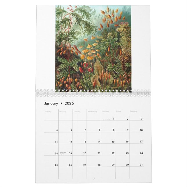 Ernst Haeckel tryck Kalender (Jan 2026)