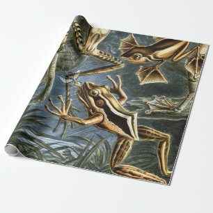Ernst Haeckel variation av exotiska grodor: Presentpapper