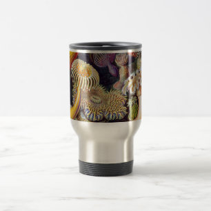 Ernst Haeckels Actiniae Resemugg