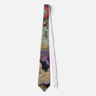 Ernst Haeckels Actiniae Tie Slips