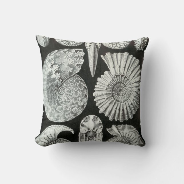 Ernst Haeckels Ammonites Kudde (Framsida)