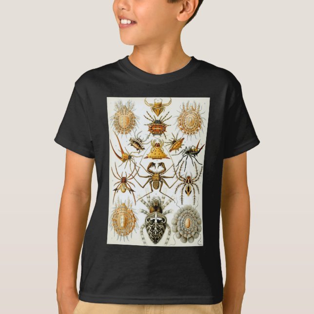 Ernst Haeckels Arachnidaspindlar T Shirt (Framsida)