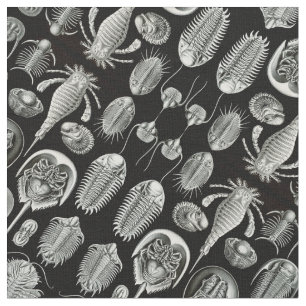 Ernst Haeckels Aspidonia Tyg
