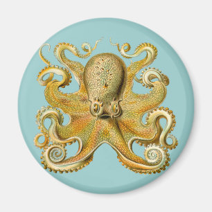 Ernst Haeckels bläckfisk Magnet