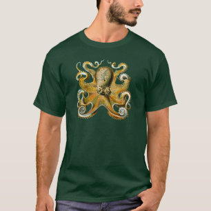 Ernst Haeckels bläckfisk Tee