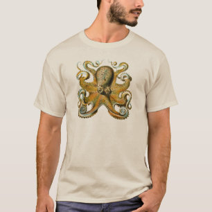 Ernst Haeckels bläckfisk Tee Shirt