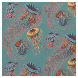 Ernst Haeckels Discomedusae Tyg