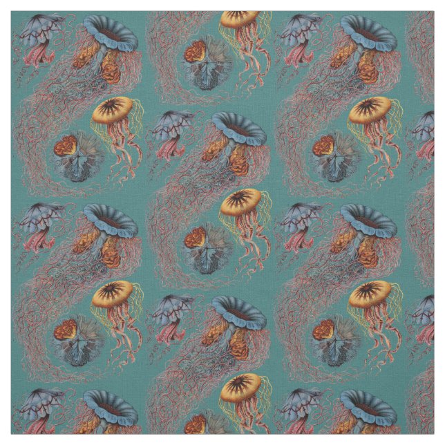 Ernst Haeckels Discomedusae Tyg (Provkarta)