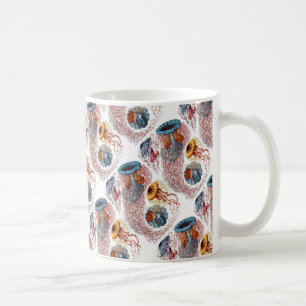 Ernst Haeckels disko Medusae Kaffemugg