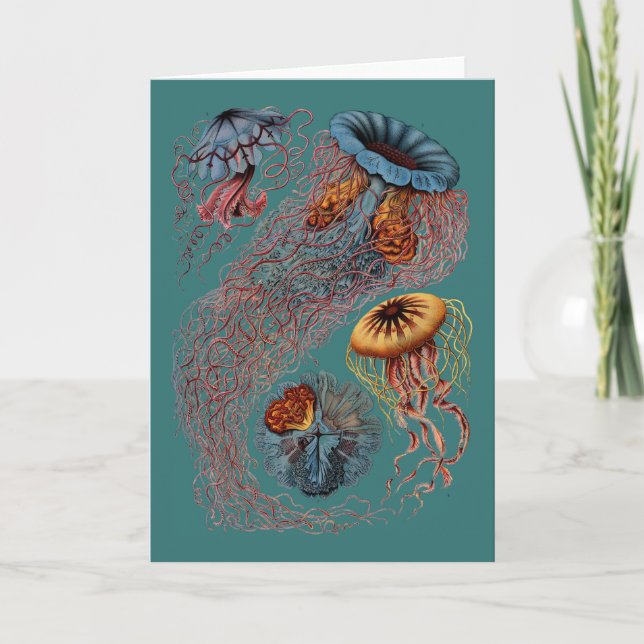 Ernst Haeckels disko Medusae Kort (Framsida)