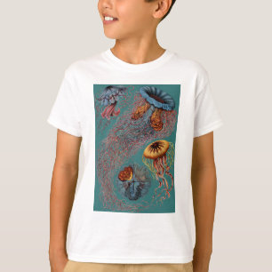 Ernst Haeckels disko Medusae Tee