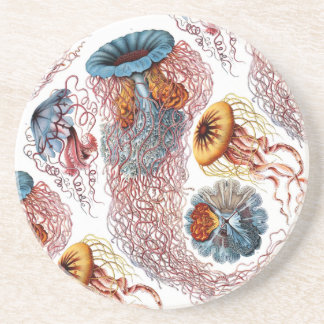 Ernst Haeckels disko Medusae Underlägg Sandsten