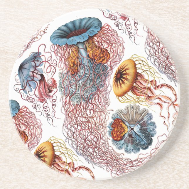 Ernst Haeckels disko Medusae Underlägg Sandsten (Framsidan)