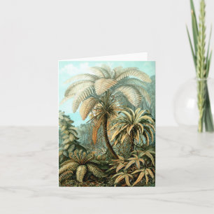 Ernst Haeckels Filicinae (Träd Ferns) Note Card Anteckningskort
