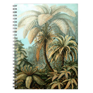 Ernst Haeckels Filicinae (Träd Ferns) Notebook Anteckningsbok
