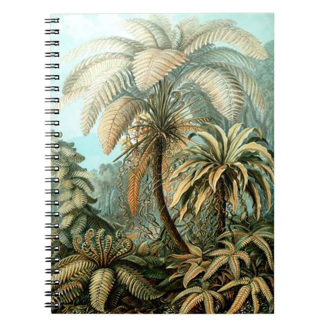 Ernst Haeckels Filicinae (Träd Ferns) Notebook Anteckningsbok (Framsidan)