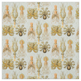 Ernst Haeckels Gamochonia Tyg