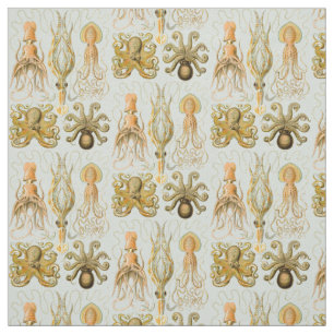 Ernst Haeckels Gamochonia Tyg