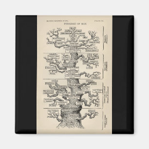 Ernst Haeckels "livets träd ", Magnet