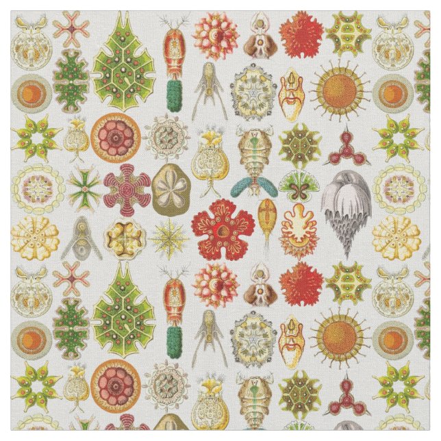 Ernst Haeckels Oceanic under Tyg (Närbild)