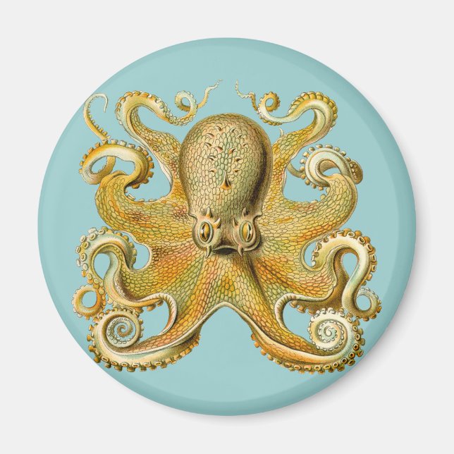 Ernst Haeckels Octopus Magnet (Framsidan)