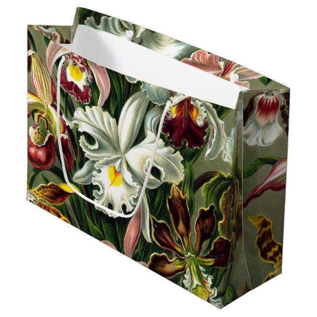 Ernst Haeckels Orchidaceae Large Gift Bag (Framsidan Vinklad)