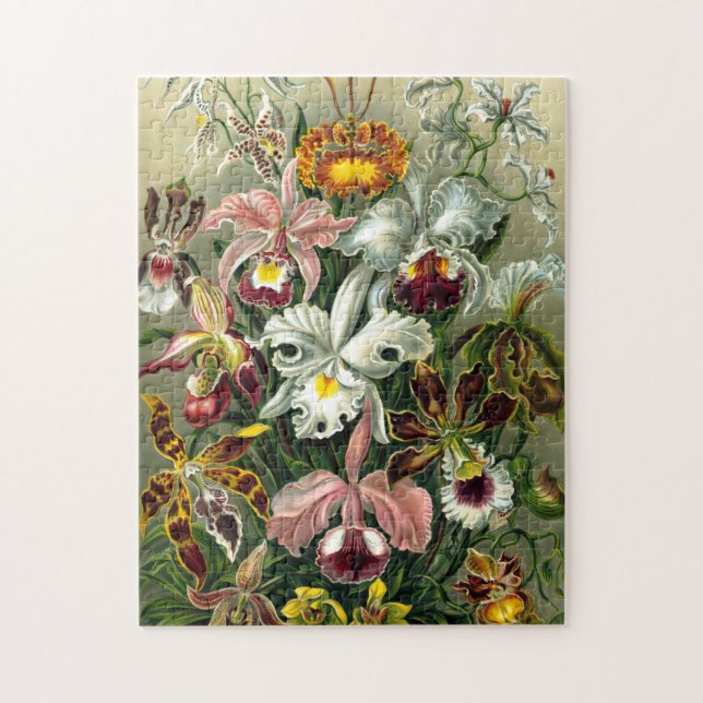 Ernst Haeckels Orchidaceae Orchids Jigszle Puzzle Pussel (Vertikal)
