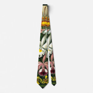 Ernst Haeckels Orchidaceae Tie Slips