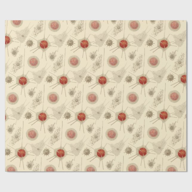 Ernst Haeckels Radiolarian Presentpapper (Platt)