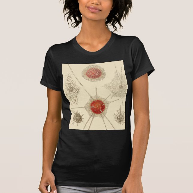 Ernst Haeckels Radiolarian Tee Shirt (Framsida)