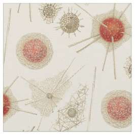 Ernst Haeckels Radiolarian Tyg