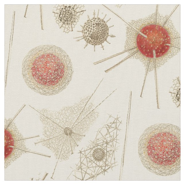 Ernst Haeckels Radiolarian Tyg (Närbild)