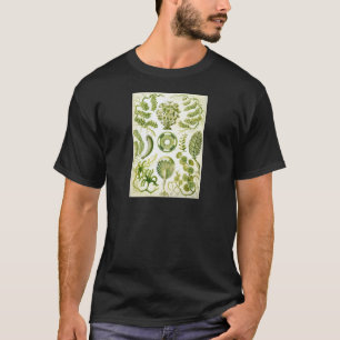 Ernst Haeckels Siphoneae sjögräs och alger Tee Shirt