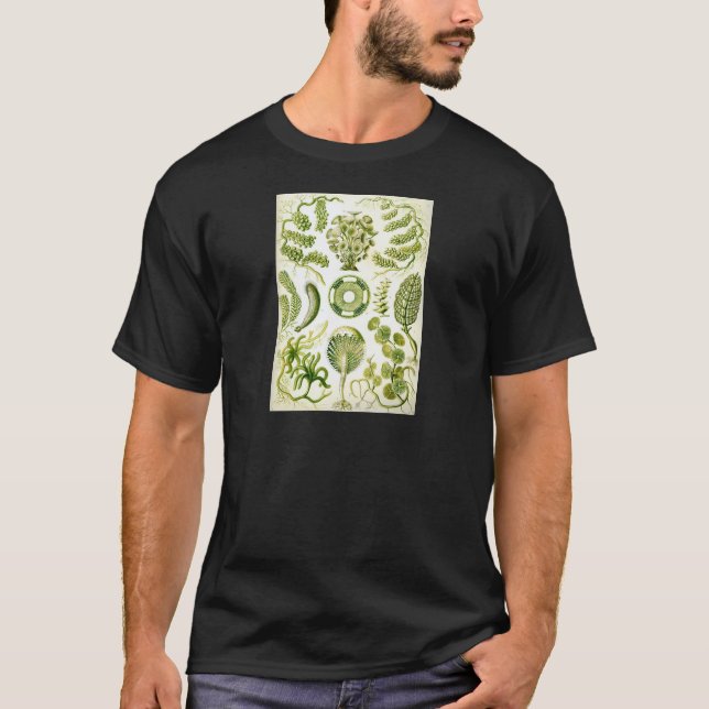 Ernst Haeckels Siphoneae sjögräs och alger Tee Shirt (Framsida)