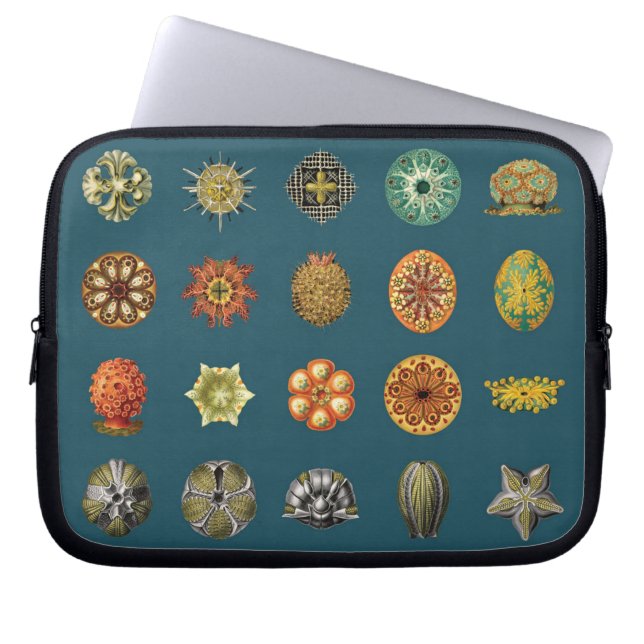 Ernst Haeckels Undersea juvlar Laptop Fodral (Framsidan)
