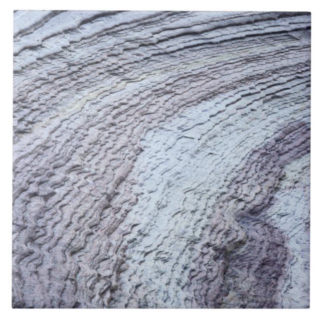 Erosion Zion nationalpark, Utah 2 Kakelplatta (Framsidan)