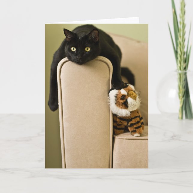 Ersatz katter Notecard Kort (Framsida)