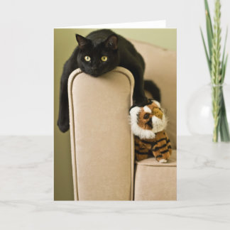 Ersatz katter Notecard Kort