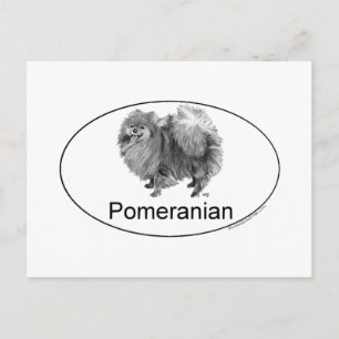 Eruo Pomeranian Hund Vykort