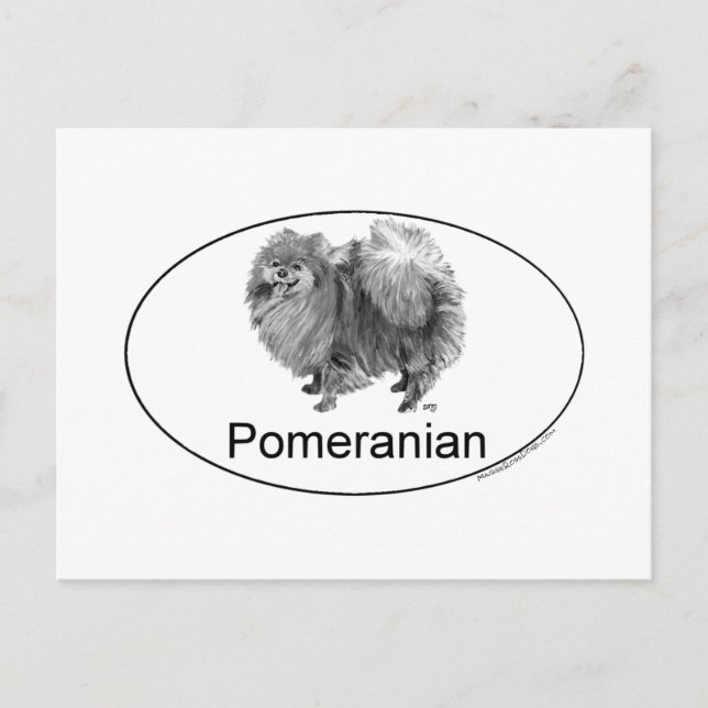 Eruo Pomeranian Hund Vykort (Framsida)