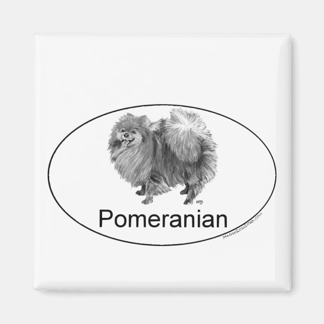 Eruo Pommern Hund Magnet (Framsidan)