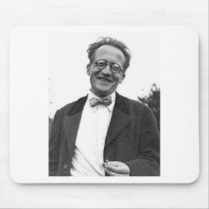 Erwin Schrodinger Musmatta