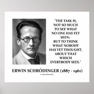 Erwin Schrödinger Task Tänka Ingen har ännu tänkt  Poster