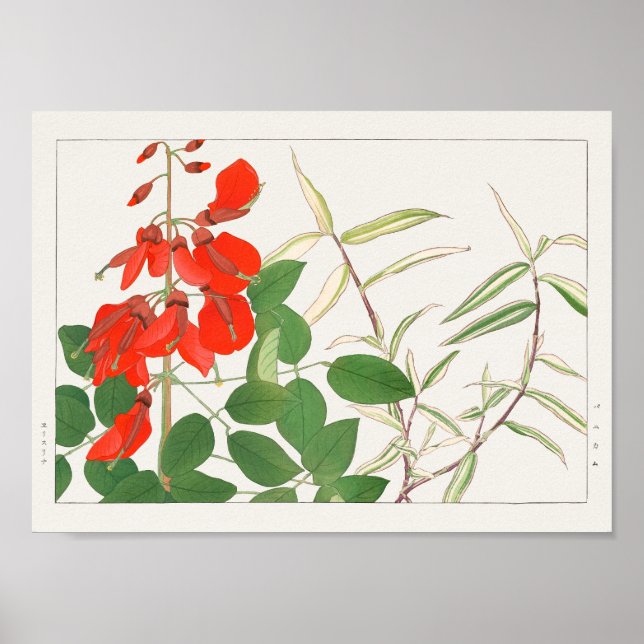 Erytrina, Panicum av Tanigami Konan Poster (Framsidan)