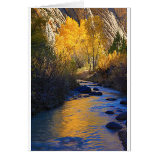 Escalante reflexion hälsningskort